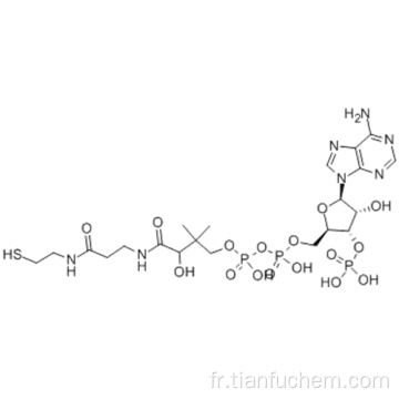 Coenzyme A CAS 85-61-0